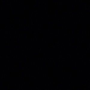 Meet your Posher, Riley